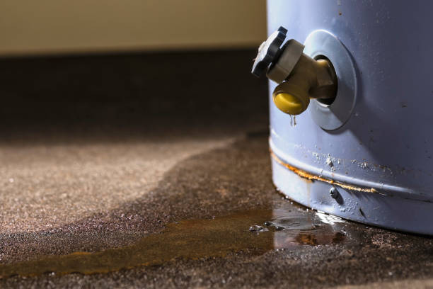 Reliable Lonsdale, MN Water damage restoration Solutions