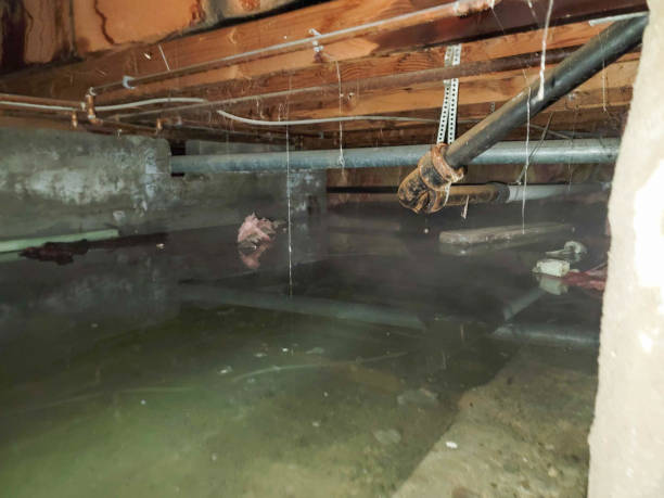 Best 24/7 water damage repair  in Lonsdale, MN