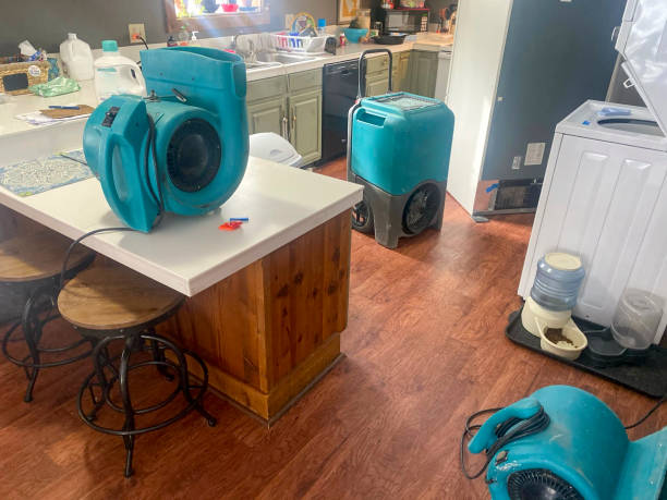 Best Water damage cleanup near me  in Lonsdale, MN