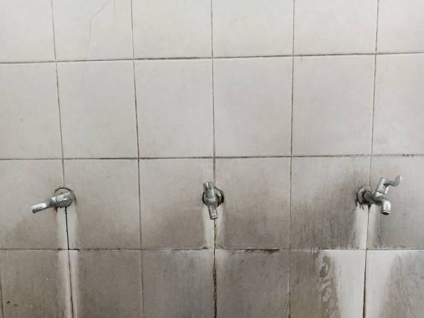 Best Emergency water damage restoration  in Lonsdale, MN
