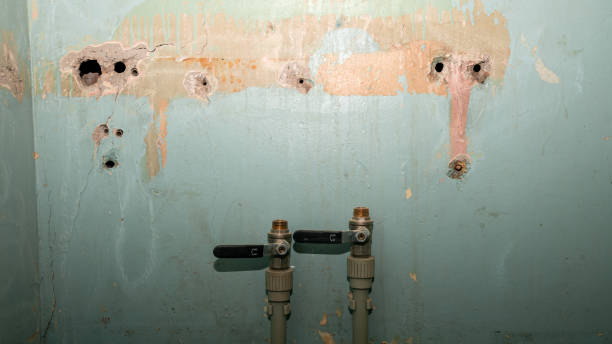 Best Flood damage cleanup  in Lonsdale, MN