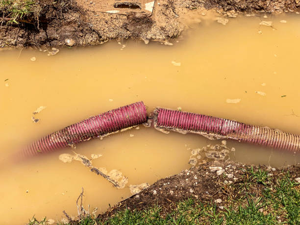 Best Flood restoration services  in Lonsdale, MN