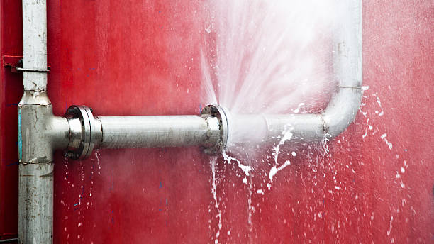 Best Water damage restoration near me  in Lonsdale, MN